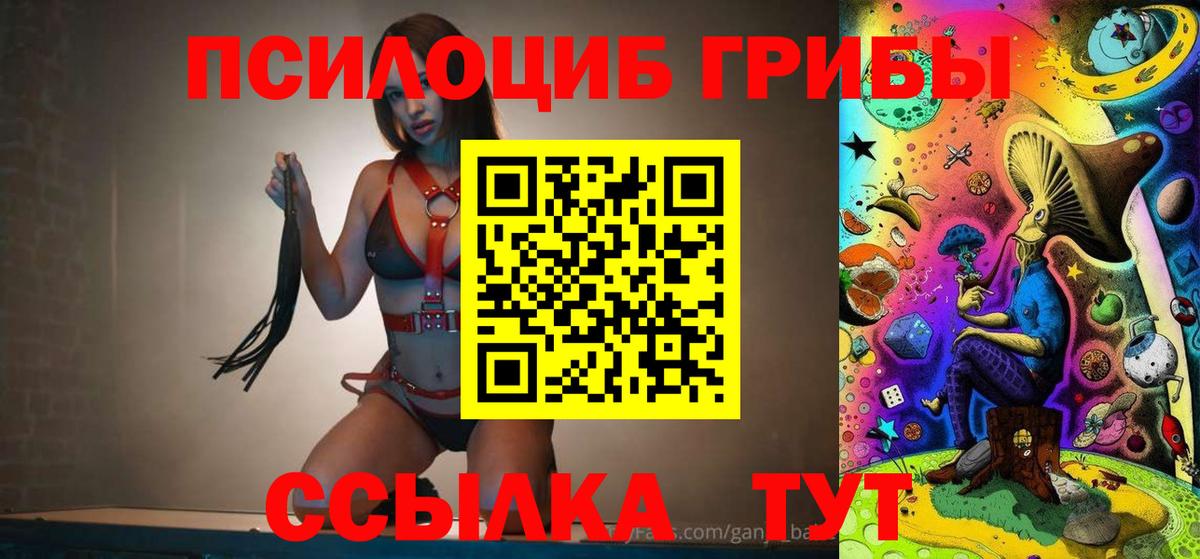Псилоцибиновые грибы GOLDEN TEACHER  Псилоцибиновые грибы Psilocybine cubensis  Нарьян-Мар  Вход с VPN 